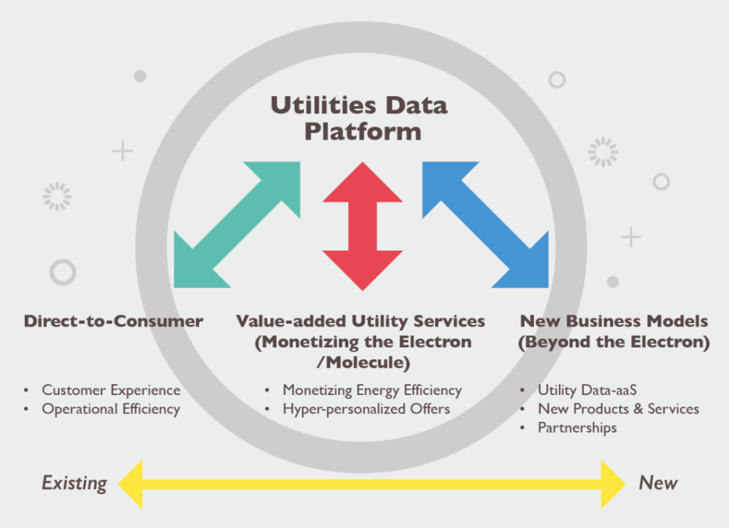 Utilities Customer Data Platforms - types of CDPs